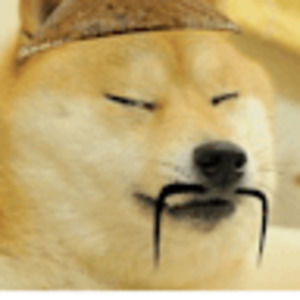 Meet your Posher, Bode